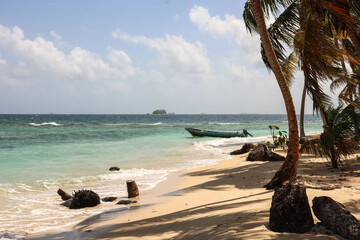 tropical beach with palm trees