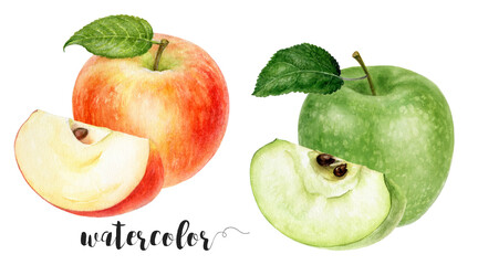 Hand-Painted Watercolor Granny Smith and Red Apple Illustration Isolated on White