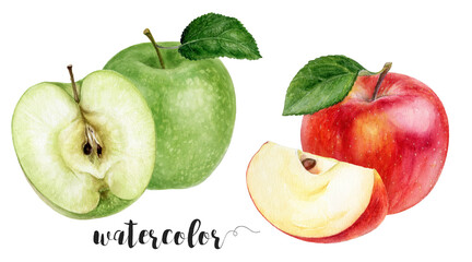 Hand-Painted Watercolor Granny Smith and Red Apple Illustration Isolated on White