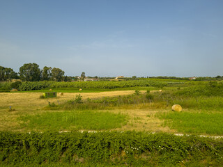 Civitavecchia, Italy - July 7, 2024: Agricultureal landscape. Green orchard and straw rolls on field where the grain was harvested along E80 freeway under blue sky, Red-roofed farm buildings