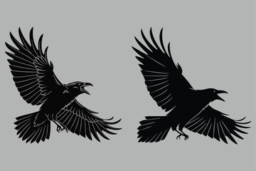 Obraz premium a crow flapping aggressively silhouette vector design art and illustration