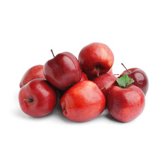 Many fresh red apples on white background