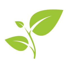 green leaf icon