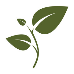 green leaf isolated on white background