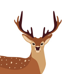 deer vector illustration