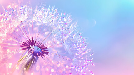 Obraz premium Close-Up of Dandelion with Water Drops