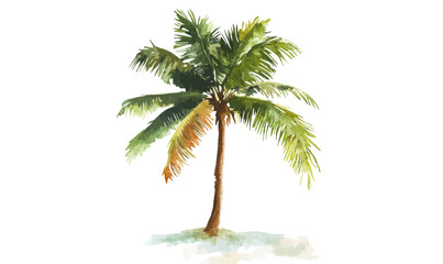 Obraz premium Watercolor Coconut Tree Clipart for Graphic Design Tropical Nature Illustration