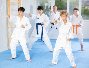 Obraz premium Group of children posing together, practicing karate moves at class indoor in sports gym