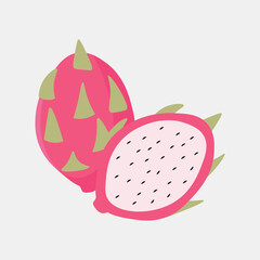 fresh pitaya or dragon fruit exotic, vector illustration