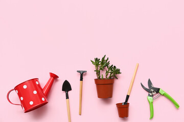 Plant in pot and gardening tools on pink background. Top view