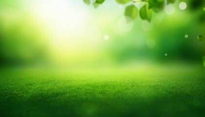 Obraz premium green natural gradient background abstract green blurred background with bright sunlight