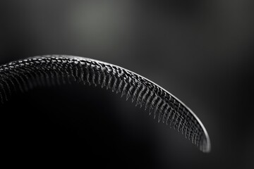 A close-up, monochrome shot reveals intricate details of a feather's barbules, showcasing nature's artistry.