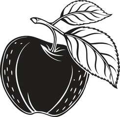 vector illustration of apple