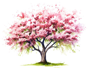 Fototapeta premium PNG Tree blossom flower plant.
