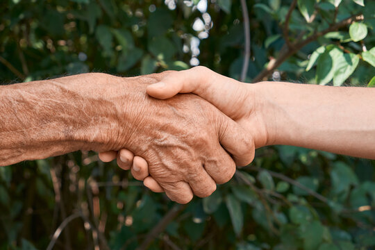 Handshake between an elderly and a young person, symbolizing connection, trust, and intergenerational support.