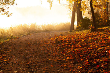 A stunning early autumn morning in Trakai, Lithuania. The pathway alongside the lake is blanketed...