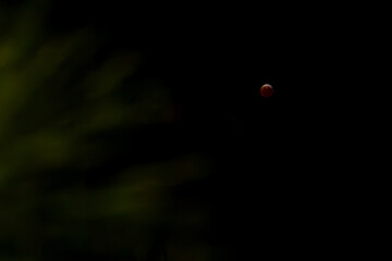 Blood moon in March 2025