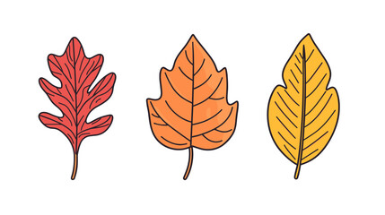Obraz premium Set of modern style illustrations of colorful autumn leaves showcasing red, orange, and yellow hues
