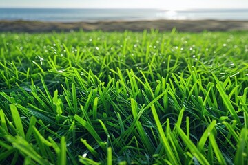 Obraz premium Lush Green Grass Landscape with Scenic Horizon Background