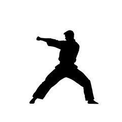 A Martial artist performing punch in dynamic pose, showcasing strength and focus. silhouette emphasizes athleticism and discipline associated with martial arts