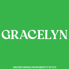 Elegant luxury thin alphabet set display font vector