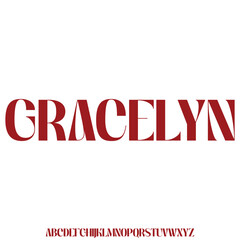 Elegant luxury thin alphabet set display font vector