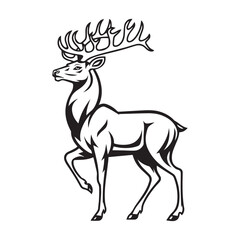 vector illustration of a white deer