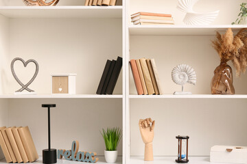 Shelves with books, pampas grass and stylish decor, closeup