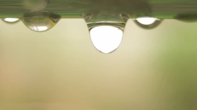 water droplets macro