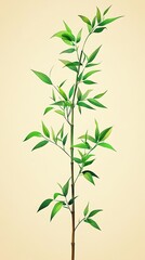 Obraz premium Elegant Bamboo Plant Illustration, Green Leaves, Simple Stem