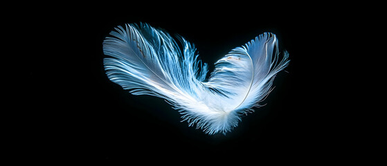 Glowing Blue Feather Abstract Design on Black Background