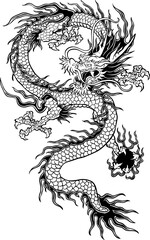Oriental dragon vector illustration for tattoo. Editable vector of Japanese, Chinese and Asian dragon. Designs for stickers, prints, coloring and decals © Raphael