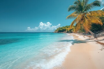 Fototapeta premium Tropical beach paradise, palm tree, turquoise water, sunny sky, vacation