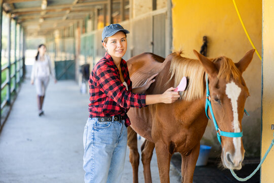 European girl has tied horse to hitching post and is combing animals mane hair. She uses comb to take care of animals fur, puts mane in order.