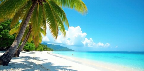 Palm trees on sandy beach with clear blue ocean, beach scenery, beach at sunset
