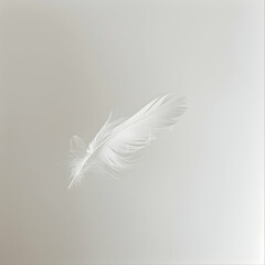 Obraz premium Single White Feather Floating Delicately in Soft Grey Light