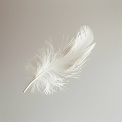 Obraz premium Trio of White Feathers Floating Gently in Soft Light