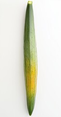 Fresh and Crisp Green Cucumber with a Gradient Hue and Smooth Skin Ideal for Healthy Dishes and Refreshing Salads on a Clean Background