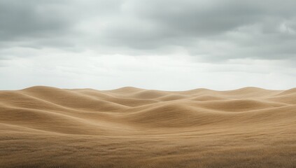 Fototapeta premium Desert landscape, undulating hills, overcast sky, tranquility