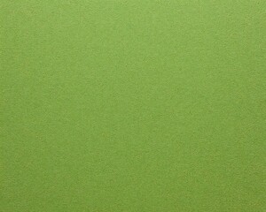 Uniform green textured surface displaying a subtle granular appearance