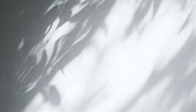 葉の影と光が白い壁にうつる抽象的な背景。自然の熱帯の葉と植物、木の枝の陰影が壁のテクスチャにあたる壁紙背景素材。Abstract background of leaf shadows and light on a white wall. Wallpaper background material with natural tropical leaves and plants, tree branc
