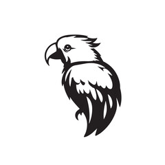 Parrot silhouette on white background. Parrot logo. Vector illustration. 