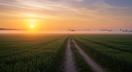 Obraz premium Sunrise Country Road Through Misty Green Field