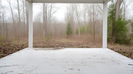 Empty white porch overlooking foggy forest