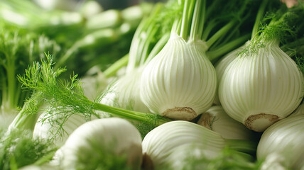 Fresh Fennel Bulbs Vibrant Green and White Produce