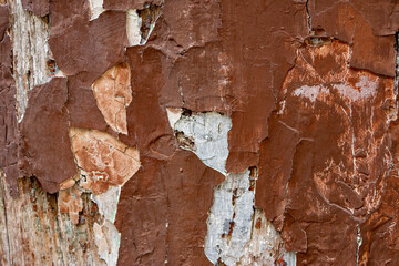 Background with worn paint, old material, craquelure