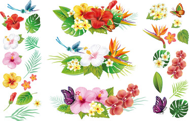 Tropical Flowers and Leaves Set – Floral Compositions with Individual Elements for Custom DesignsPrint