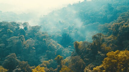 Fototapeta premium Misty Mountain Forest Landscape With Lush Green Trees