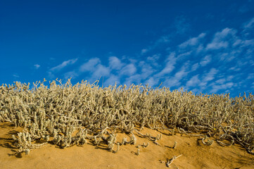 sand dunes white clouds and blue sky Baratz Lake, Alghero, Sassari. Sardinia, Italy