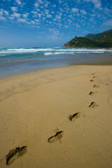 footprints in the sand along the Porto Ferro beach, Sardinia Alghero, Sassari, Italy.